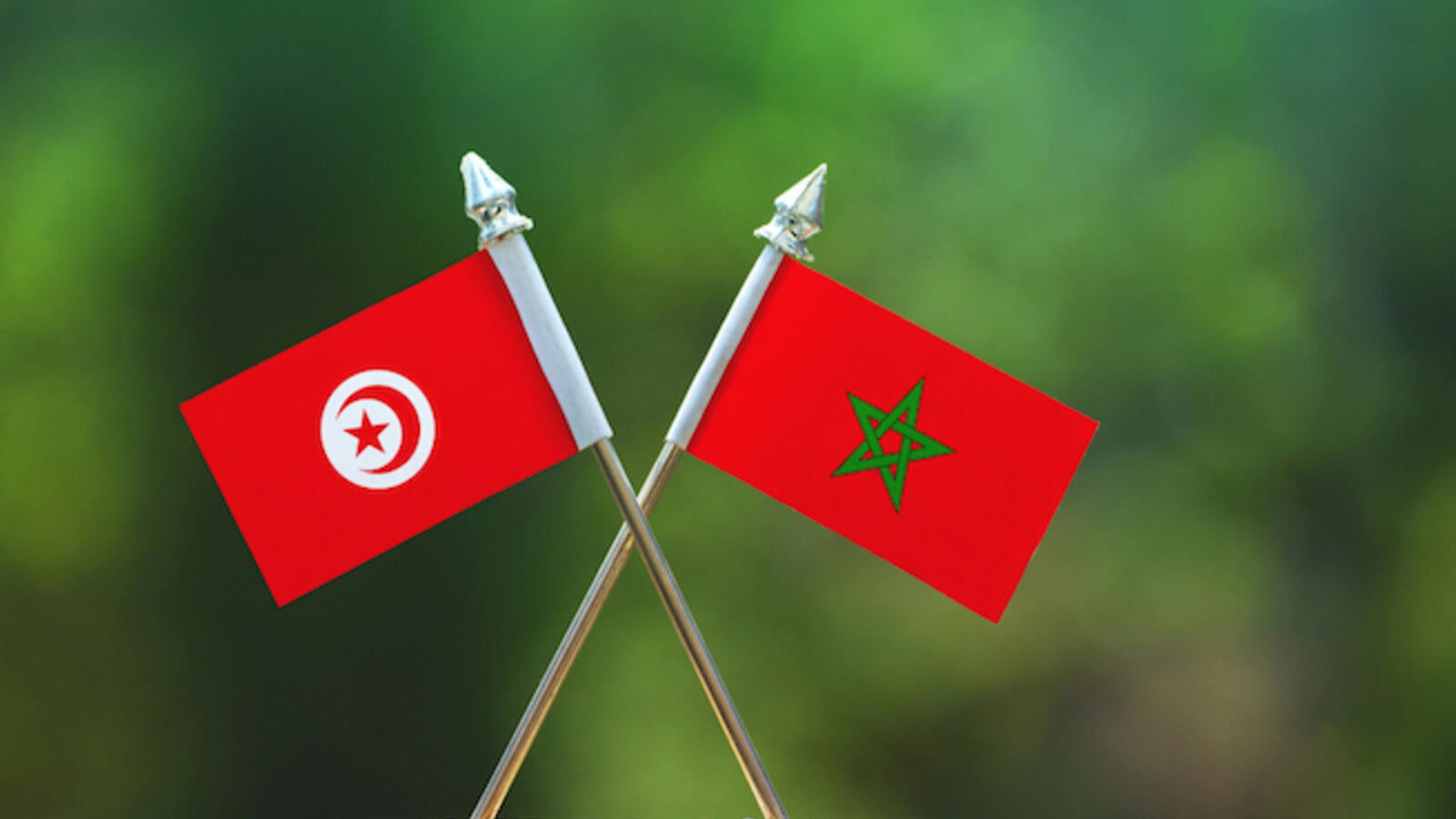 Tunisian and Moroccan flags, Shutterstock.