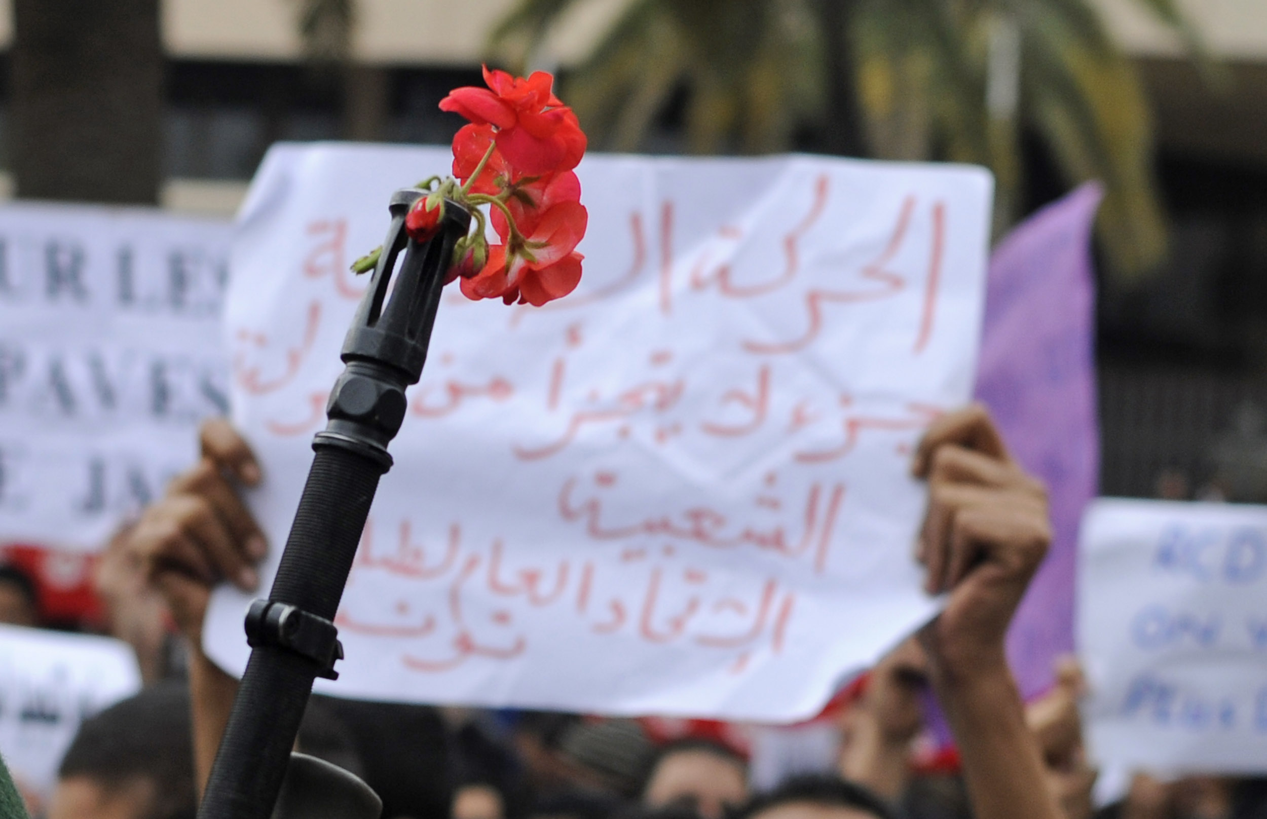 Peaceful protesters put flowers in the barrels of army soldiers' guns who were earlier shooting in the air to deter them from storming into an official building, Tunis, Tunisia, 20 January 2011. Reuters.